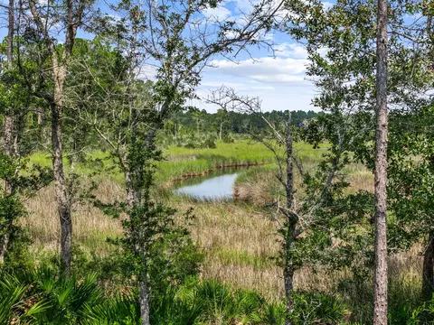 View/Area - 381 Constellation Ave, Freeport, FL 32439 photo 2 of 10