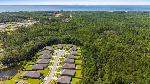 View/Area - 36 Cozy Cv, Freeport, FL 32439 photo 9 of 13
