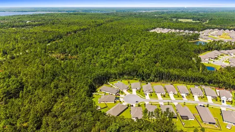 View/Area - 36 Cozy Cv, Freeport, FL 32439 photo 5 of 13