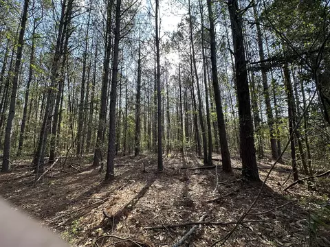 33 66-ac Snyder Ave, Other, AL