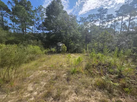 lot48 Clearwater Dr, Defuniak Springs, FL 32433