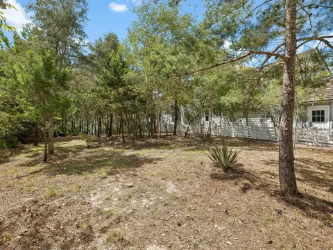 lot2 Bridgeway Ln, Watersound, FL 32461 photo 3