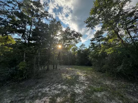 2 24 Acres Jv Woolley Rd, Crestview, FL 32539 photo 3