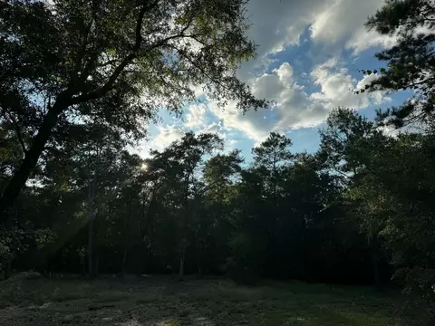 2 24 Acres Jv Woolley Rd, Crestview, FL 32539 photo 4