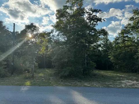 2 24 Acres Jv Woolley Rd, Crestview, FL 32539 photo 8