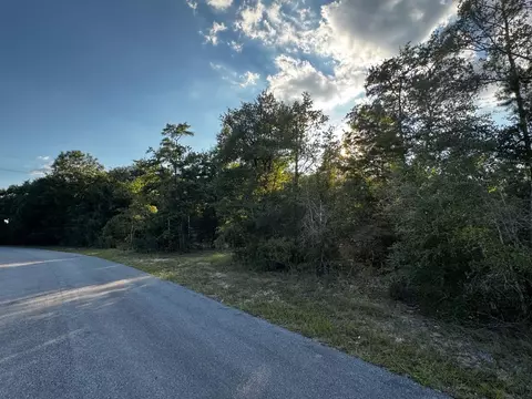 2 24 Acres Jv Woolley Rd, Crestview, FL 32539 photo 5