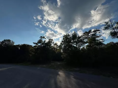 2 24 Acres Jv Woolley Rd, Crestview, FL 32539 photo 6