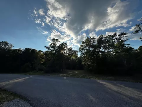 2 24 Acres Jv Woolley Rd, Crestview, FL 32539 photo 7