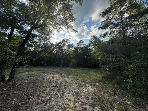 2 24 Acres Jv Woolley Rd, Crestview, FL 32539 photo 2