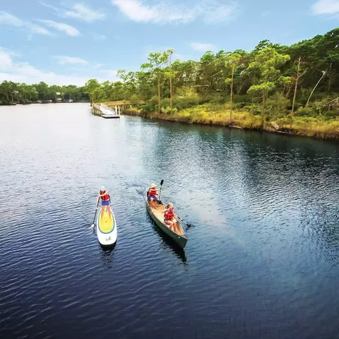 View/Area - 105 Rosecourt St, Watersound, FL 32461 photo 21 of 23