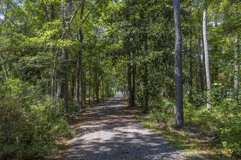Other - 115 Old Oak Rd, Freeport, FL 32439 photo 2 of 18