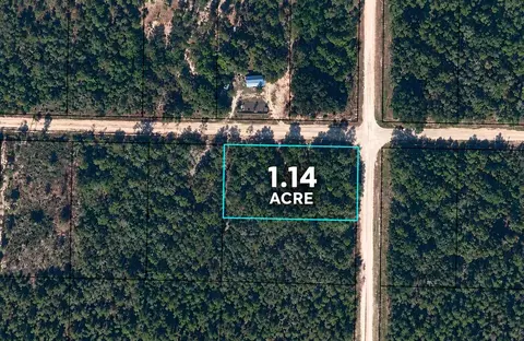 1 14 Acres Lincoln Ave, Alford, FL 32420