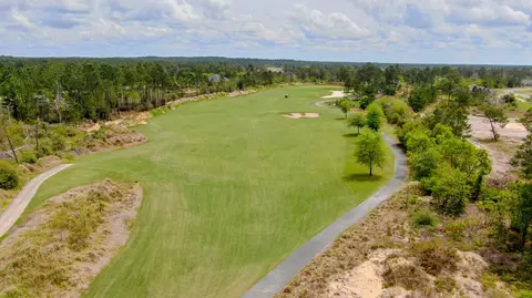 View/Area - 331 Brushed Dunes Cir, Freeport, FL 32439 photo 13 of 14