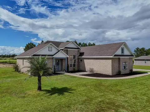 Exterior - 331 Brushed Dunes Cir, Freeport, FL 32439 photo 3 of 6