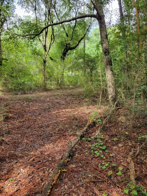 204 Shell Dr, Crestview, FL 32536