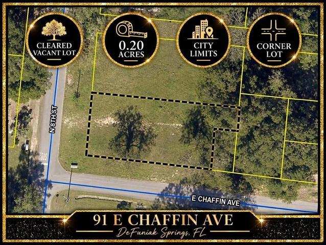 91 E Chaffin Ave, Defuniak Springs, FL 32433