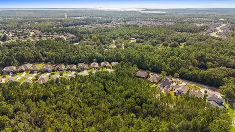 View/Area - 202 Secret St, Freeport, FL 32439 photo 5 of 20