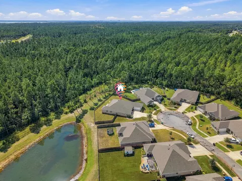 View/Area - 253 Picnic Pl, Freeport, FL 32439 photo 5 of 11