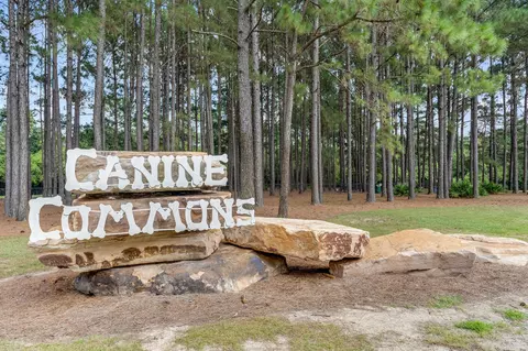 View/Area - 253 Picnic Pl, Freeport, FL 32439 photo 10 of 11