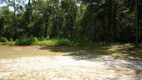 107 Canary Dr, Freeport, FL 32439 photo 3