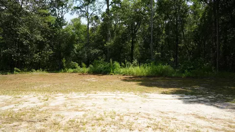 107 Canary Dr, Freeport, FL 32439 photo 2