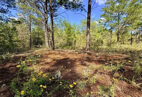 870 Watson Road M, Defuniak Springs, FL 32433