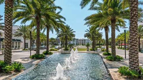 View/Area - 249 E Lifeguard Loop # A-1, Inlet Beach, FL 32461 photo 10 of 14