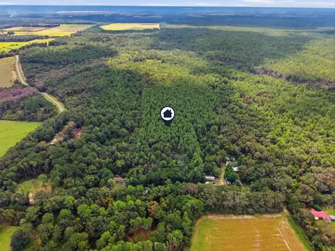tbd Steele Rd, Baker, FL 32531 photo 5