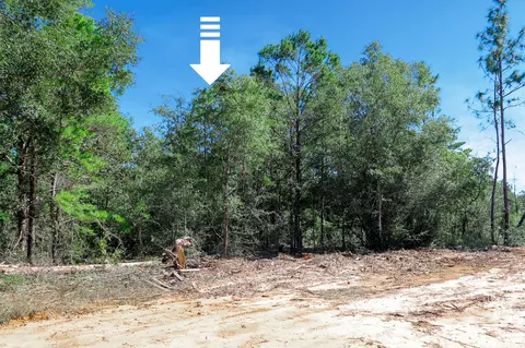 lot9 Leonardo Ct, Defuniak Springs, FL 32433