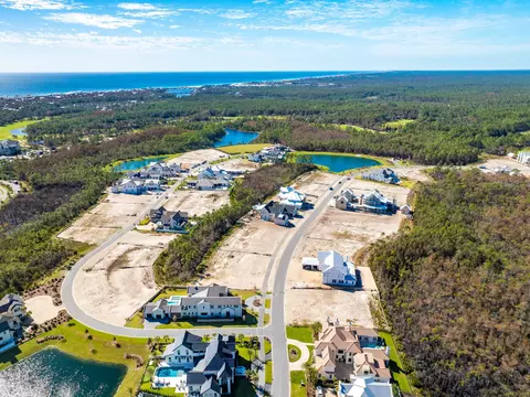 lot263 Windsong Dr, Watersound, FL 32461 photo 9