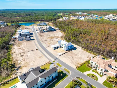 lot263 Windsong Dr, Watersound, FL 32461 photo 10