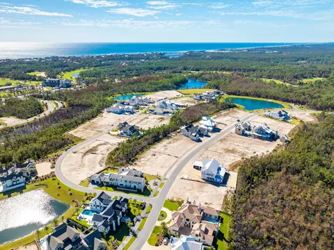 lot263 Windsong Dr, Watersound, FL 32461 photo 8
