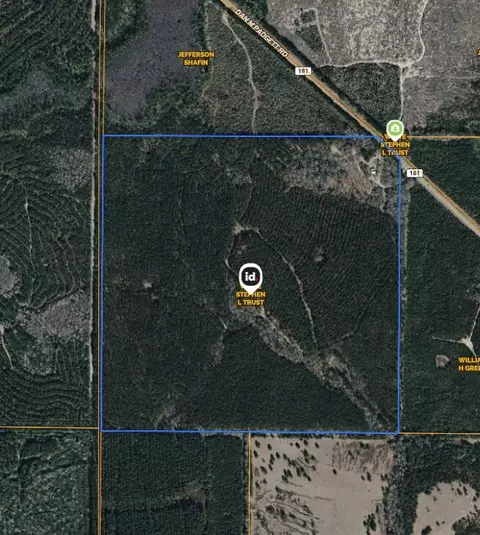 NNN N Highway 181 #160 ACRES +/-, Westville, FL 32464