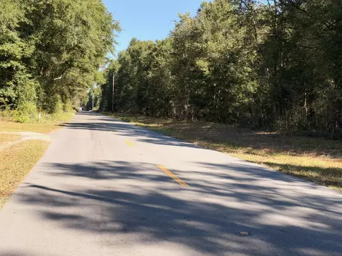 Other - Parcel A Griffith Mill Road, Holt, FL 32564 photo 6 of 6