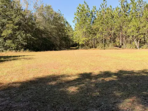 Exterior - Parcel A Griffith Mill Road, Holt, FL 32564 photo 8 of 16
