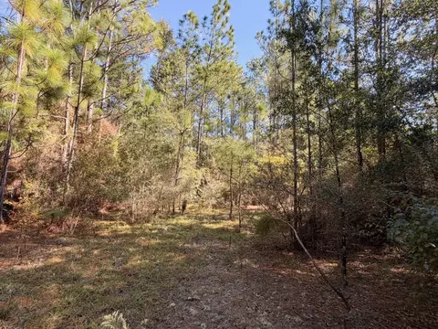 Exterior - Parcel A Griffith Mill Road, Holt, FL 32564 photo 9 of 16