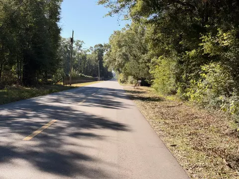 Other - Parcel A Griffith Mill Road, Holt, FL 32564 photo 5 of 6