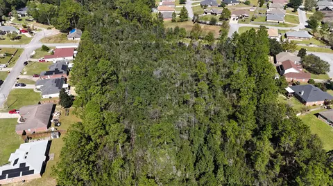 12 33 Acres Alicia Dr, Crestview, FL 32536 photo 3