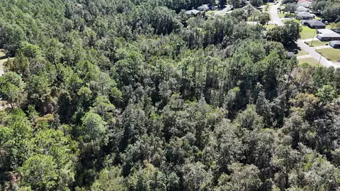 12 33 Acres Alicia Dr, Crestview, FL 32536 photo 6