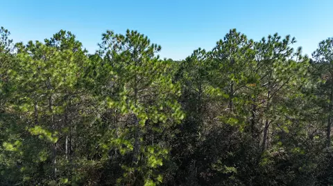 12 33 Acres Alicia Dr, Crestview, FL 32536 photo 4