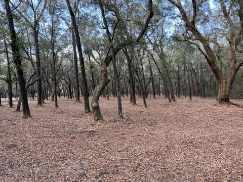 4400 Garcon Point Rd, Milton, FL 32583 photo 8