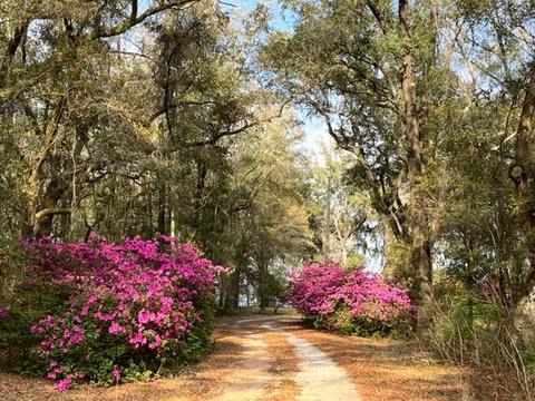 4400 Garcon Point Rd, Milton, FL 32583