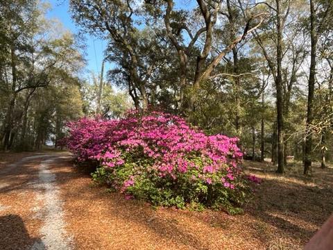 4400 Garcon Point Rd, Milton, FL 32583 photo 33