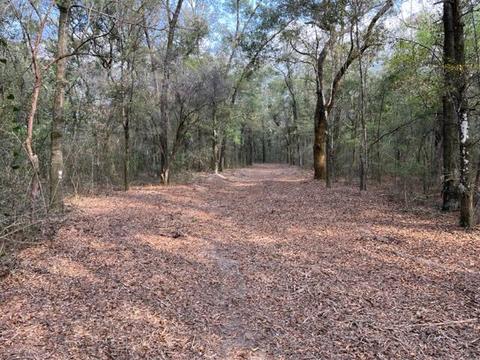 4400 Garcon Point Rd, Milton, FL 32583 photo 31