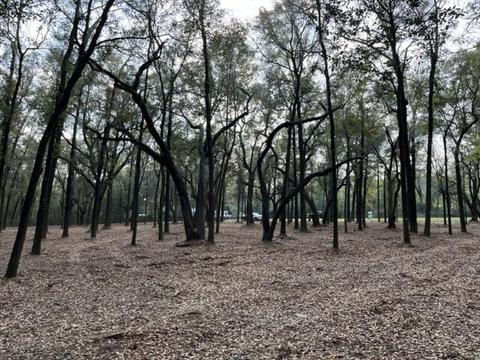 4400 Garcon Point Rd, Milton, FL 32583 photo 7