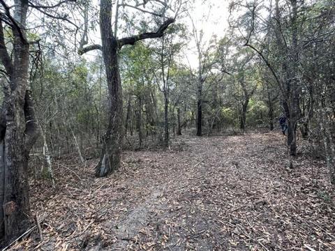 4400 Garcon Point Rd, Milton, FL 32583 photo 28