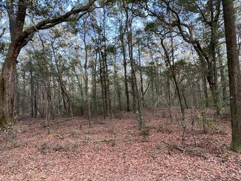 4400 Garcon Point Rd, Milton, FL 32583 photo 24