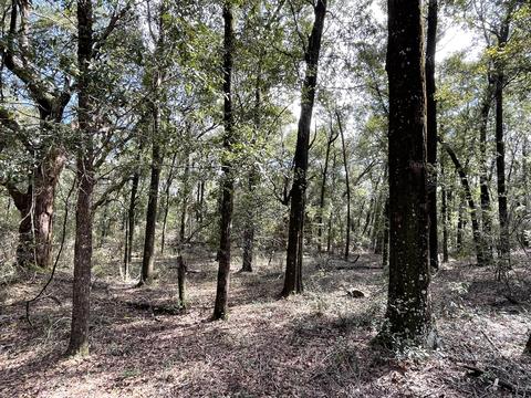 4400 Garcon Point Rd, Milton, FL 32583 photo 20