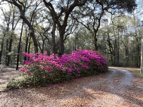 4400 Garcon Point Rd, Milton, FL 32583 photo 32