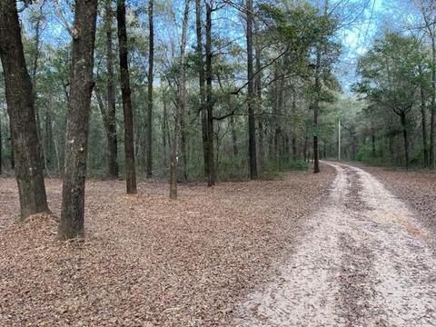 4400 Garcon Point Rd, Milton, FL 32583 photo 25